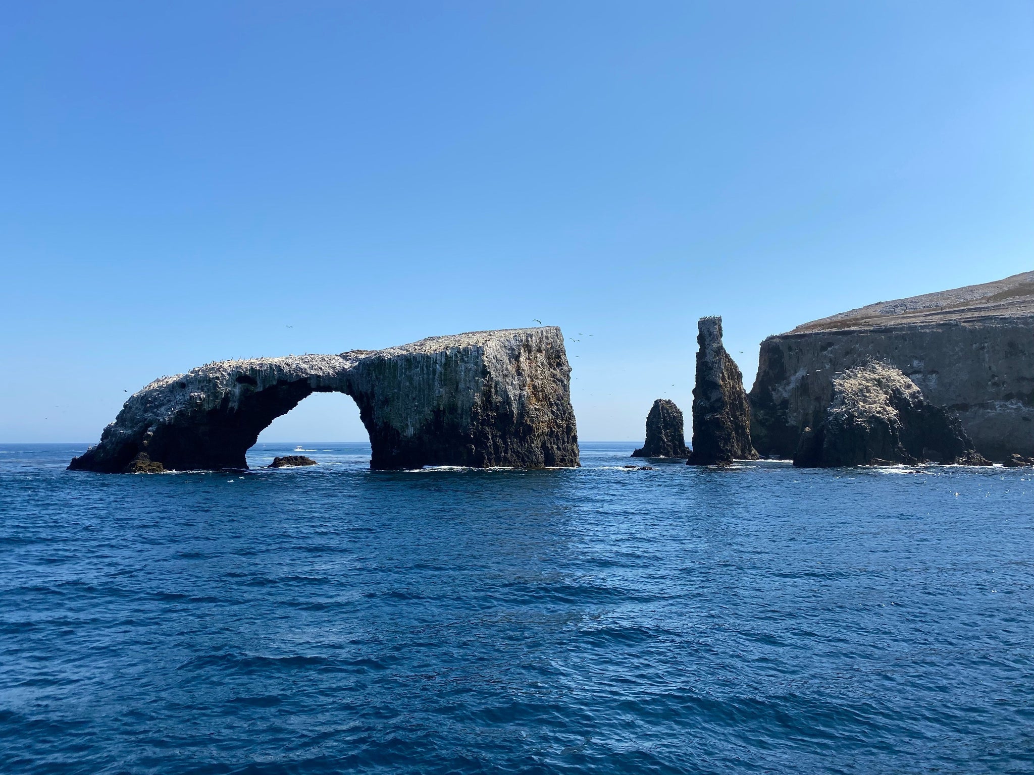 Anderson Design Group Interviews Channel Islands Park Foundation!