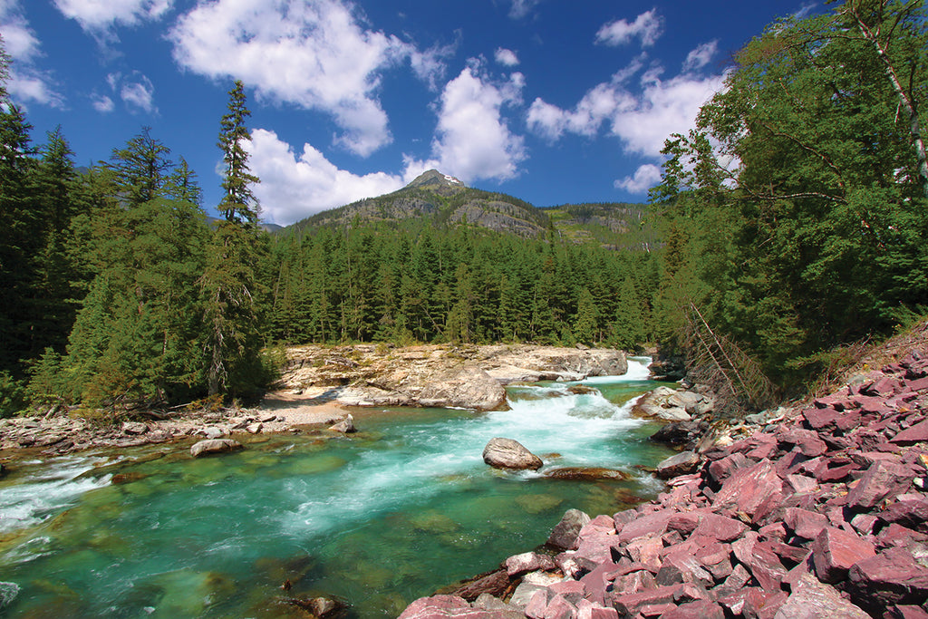 The National Parks are OPENING!