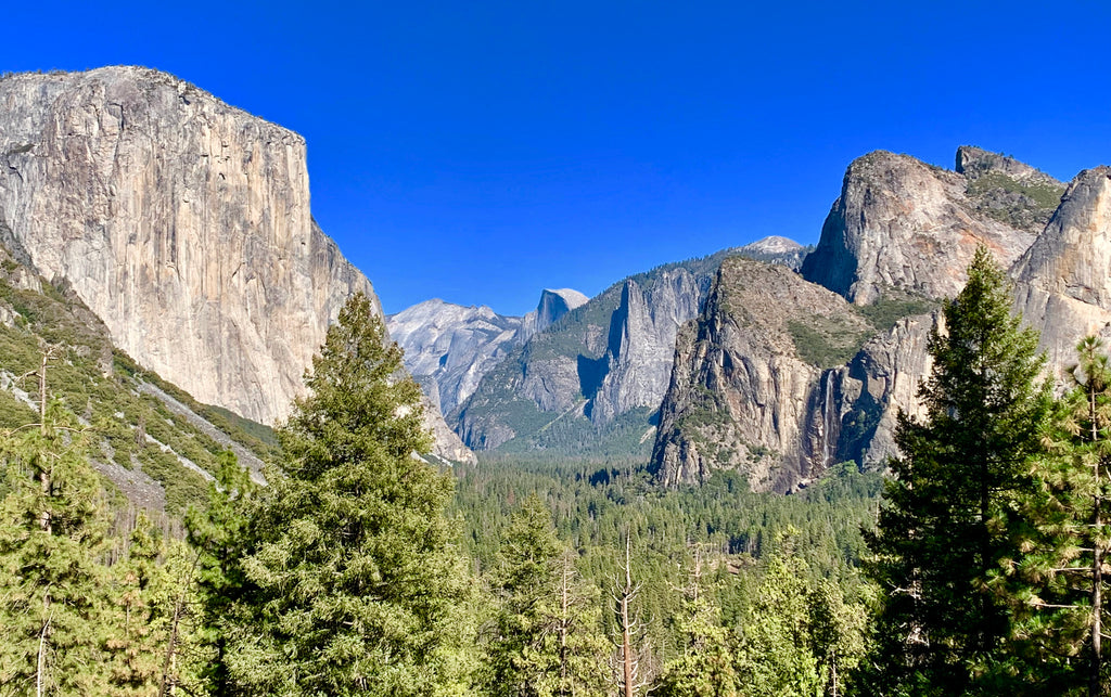 ADG Employees Molly and Ally Explore the National Parks! - Part #4