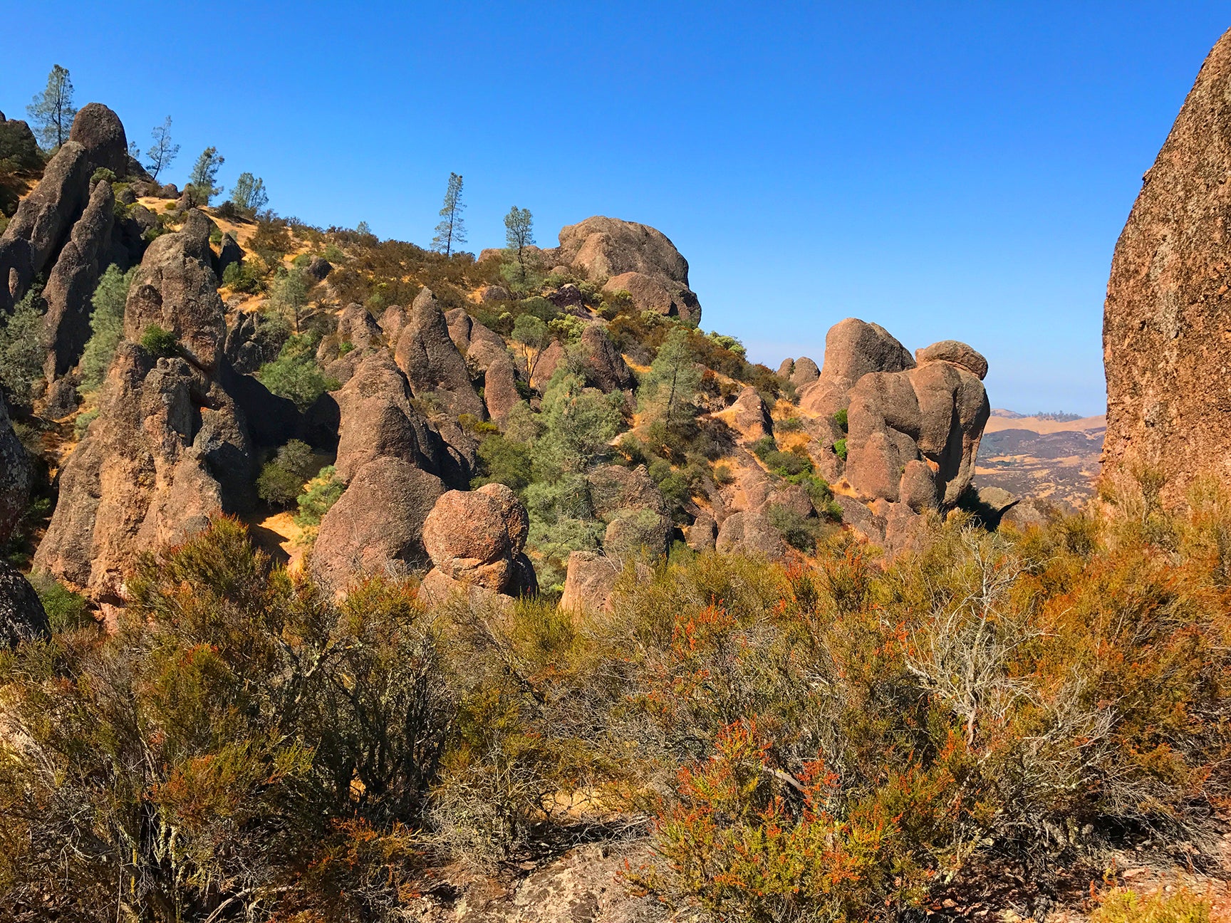 Pinnacles National Park - An Undiscovered Gem