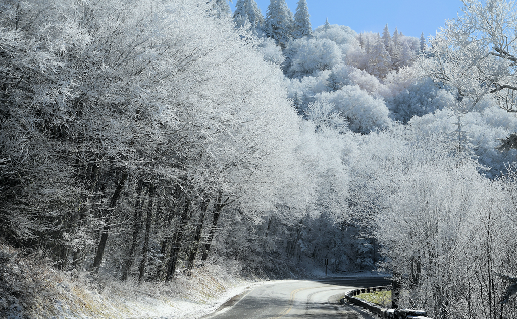 Christmas Vacation and Winter Vibes... In a National Park??