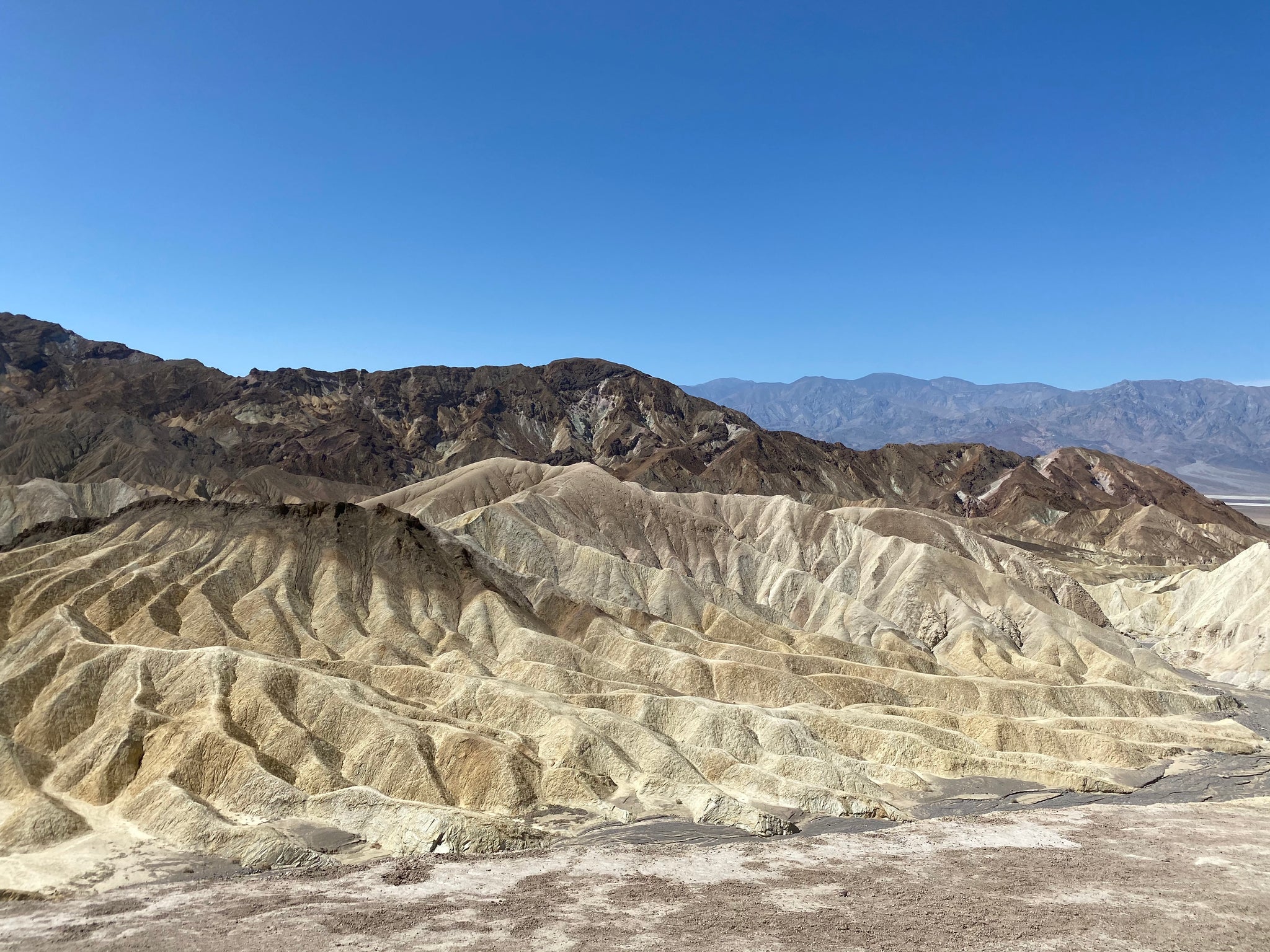 ADG Employees Molly and Ally Explore the National Parks! - Part #3