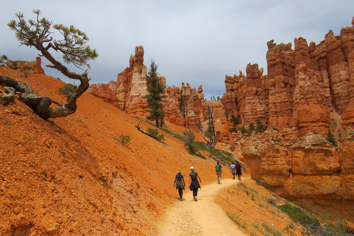 The 2018 National Parks Photo Contest