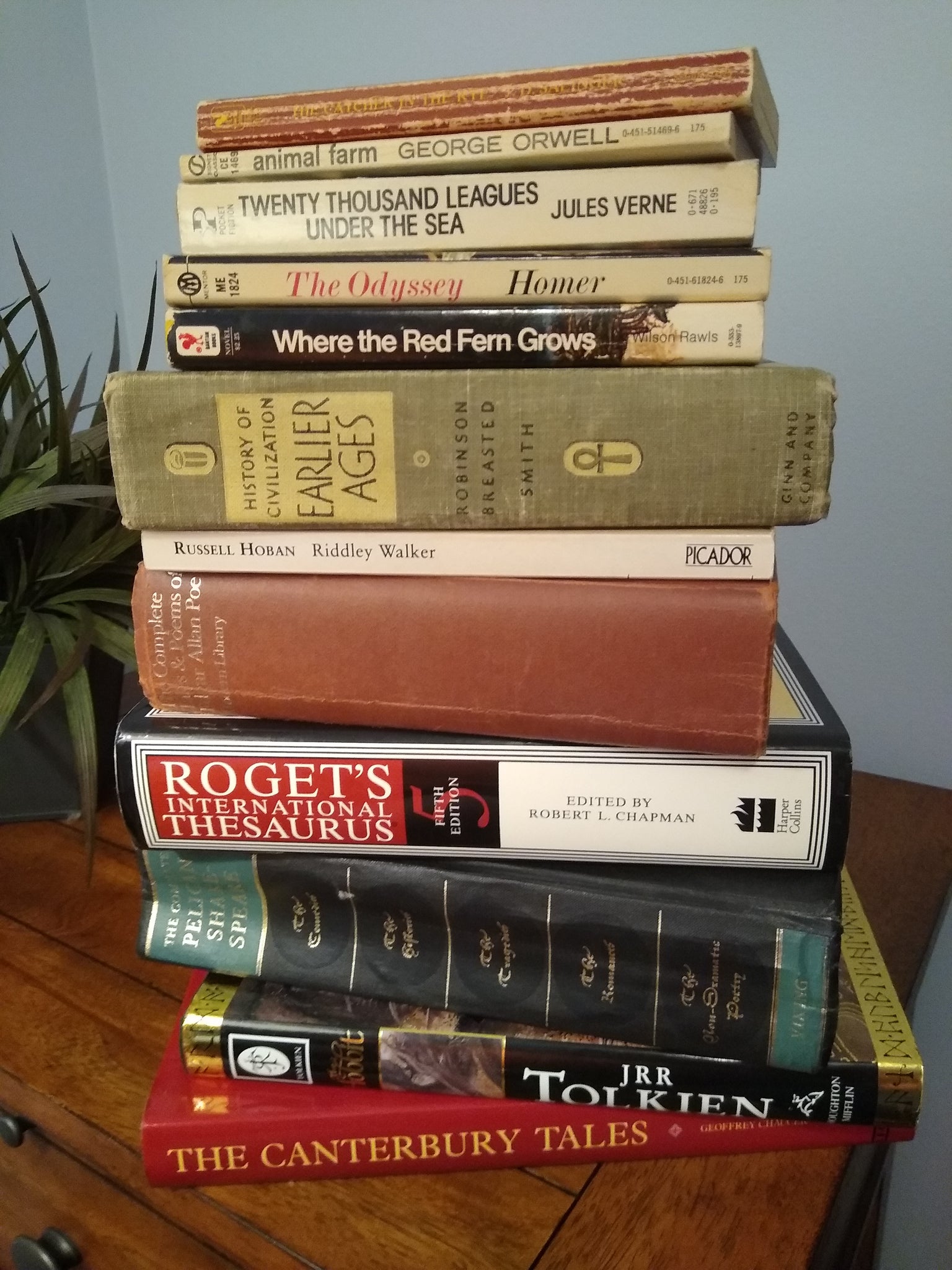 Summer Reading is Totally Lit! (by Mike Baker)