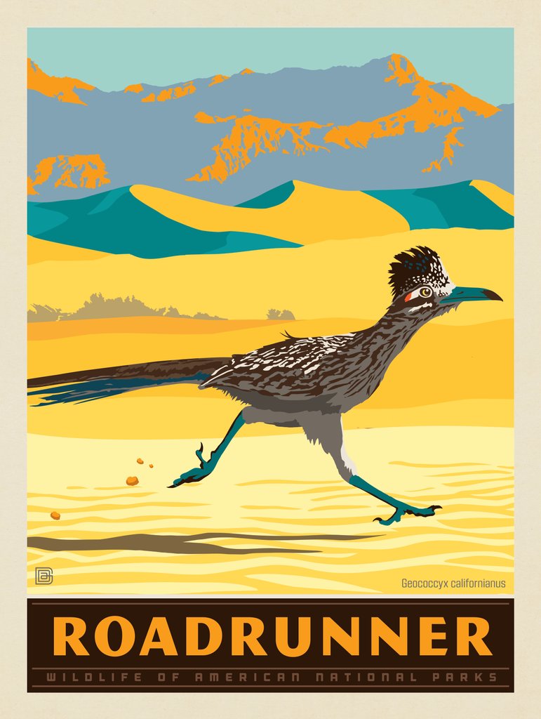 National Parks Wildlife: Roadrunner - Notecards - Artwork