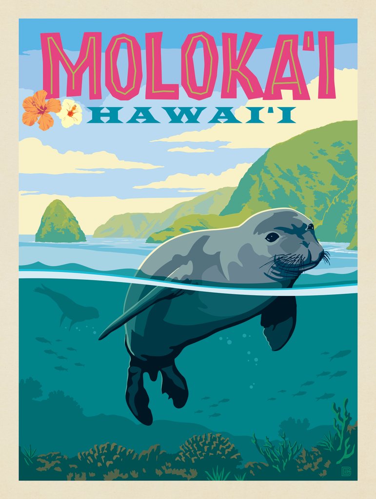 Hawaii: Moloka'i (Monk Seal) - Canvas - Artwork