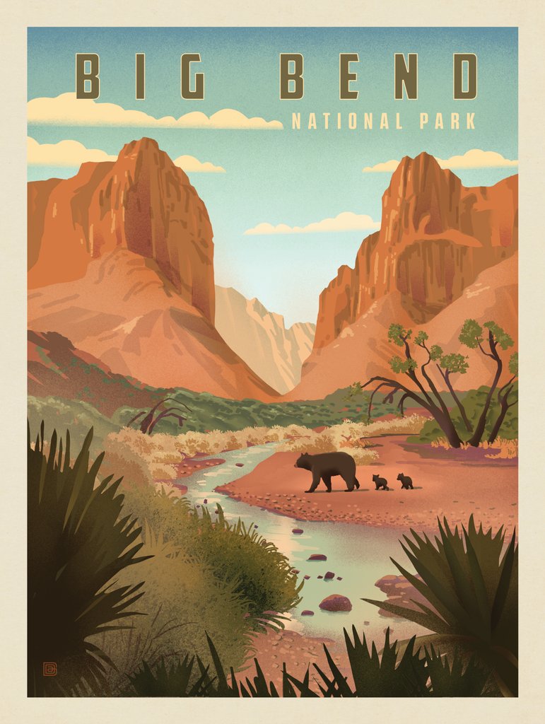Big Bend National Park: Black Bears - Canvas - Artwork