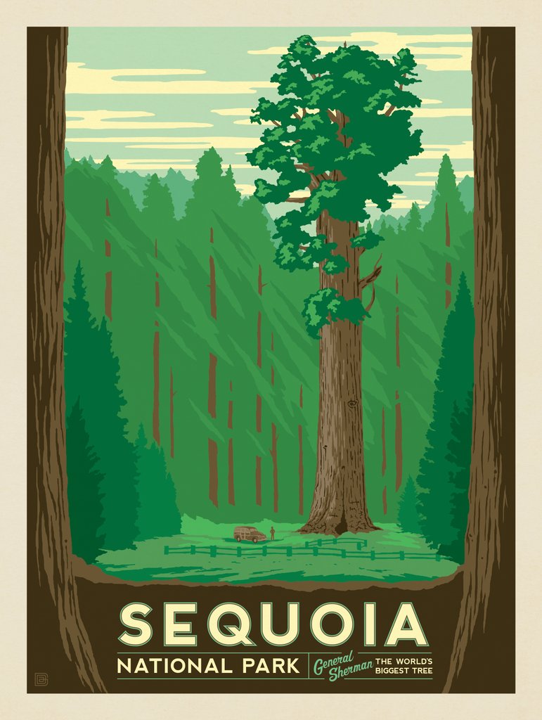 Sequoia National Park - Notecards - Artwork