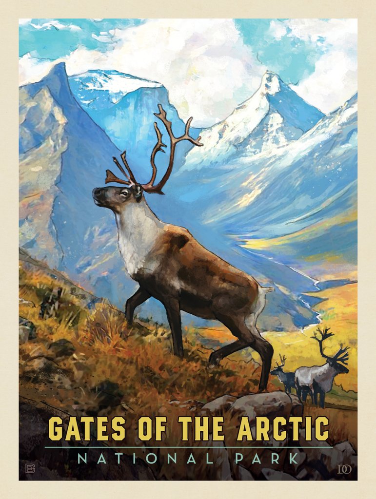 Gates of the Arctic National Park: Caribou - Postcards - Artwork