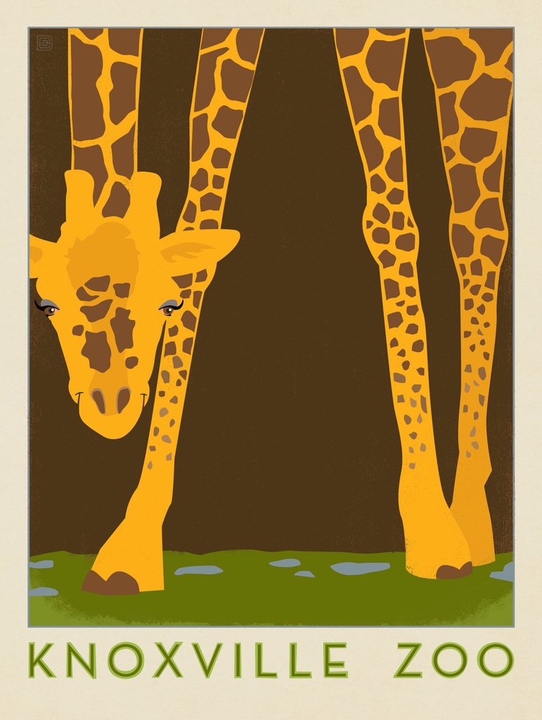 Knoxville Zoo Giraffe - Canvas - Artwork