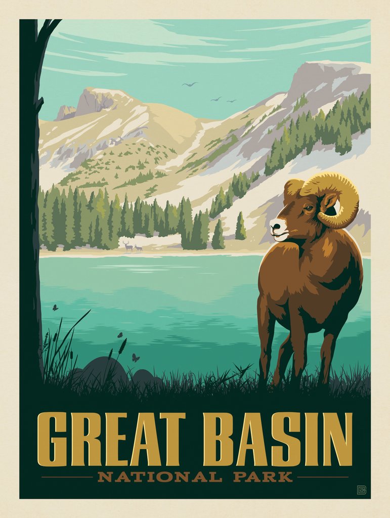 Great Basin National Park: Bighorn Sheep - Notecards - Artwork