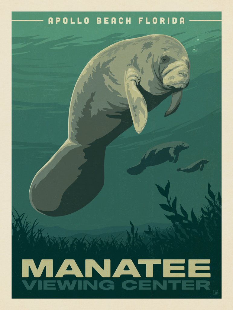 Apollo Beach, Florida: Manatee Viewing Center - Postcards - Artwork