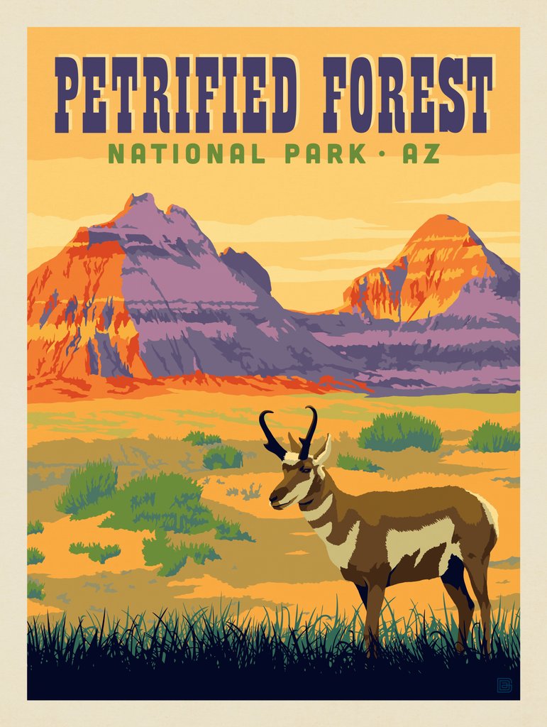 Petrified Forest National Park: Antelope - Postcards - Artwork