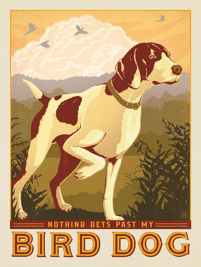 Bird Dog - Notecards - Artwork