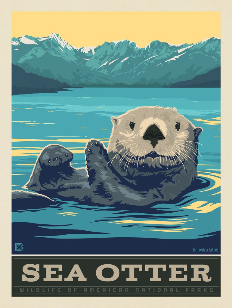 National Parks Wildlife: Sea Otter - Canvas - Artwork