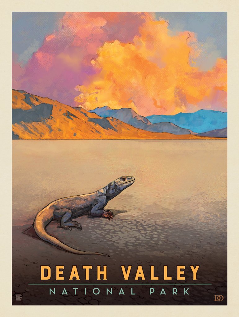 Death Valley National Park: Chuckwalla Lizard - Canvas - Artwork