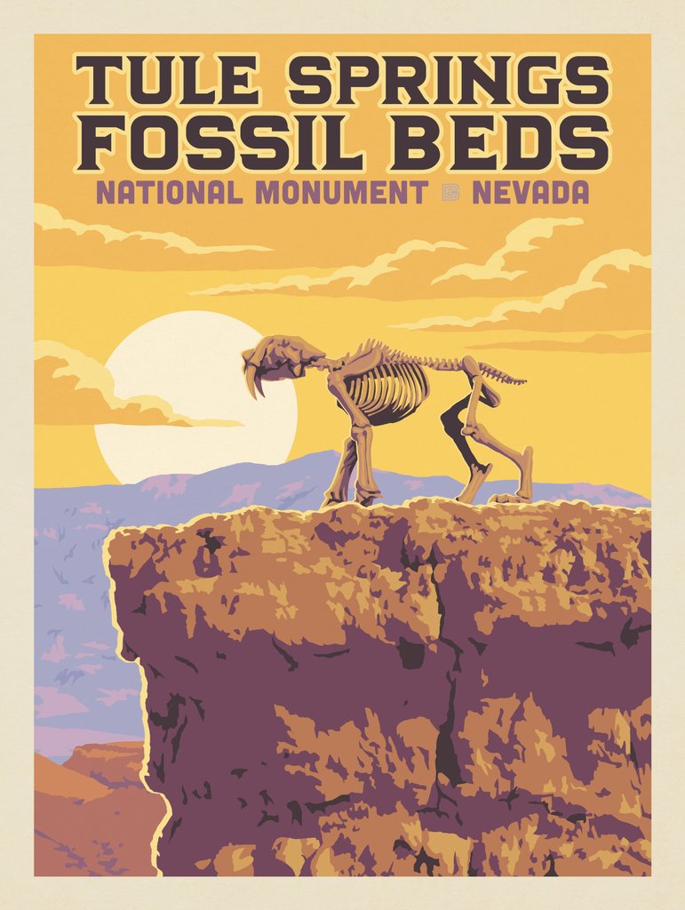 Tule Springs Fossil Beds National Monument, NV: Saber Tooth Tiger - Notecards - Artwork