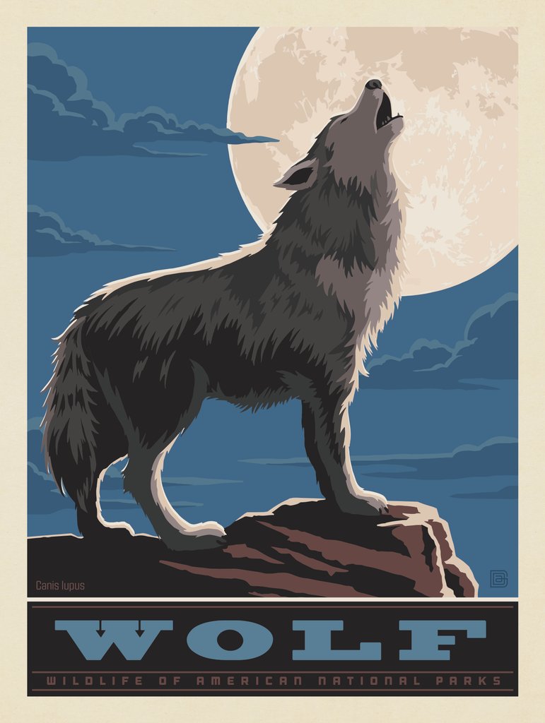 National Parks Wildlife: Wolf - Art Print - Artwork