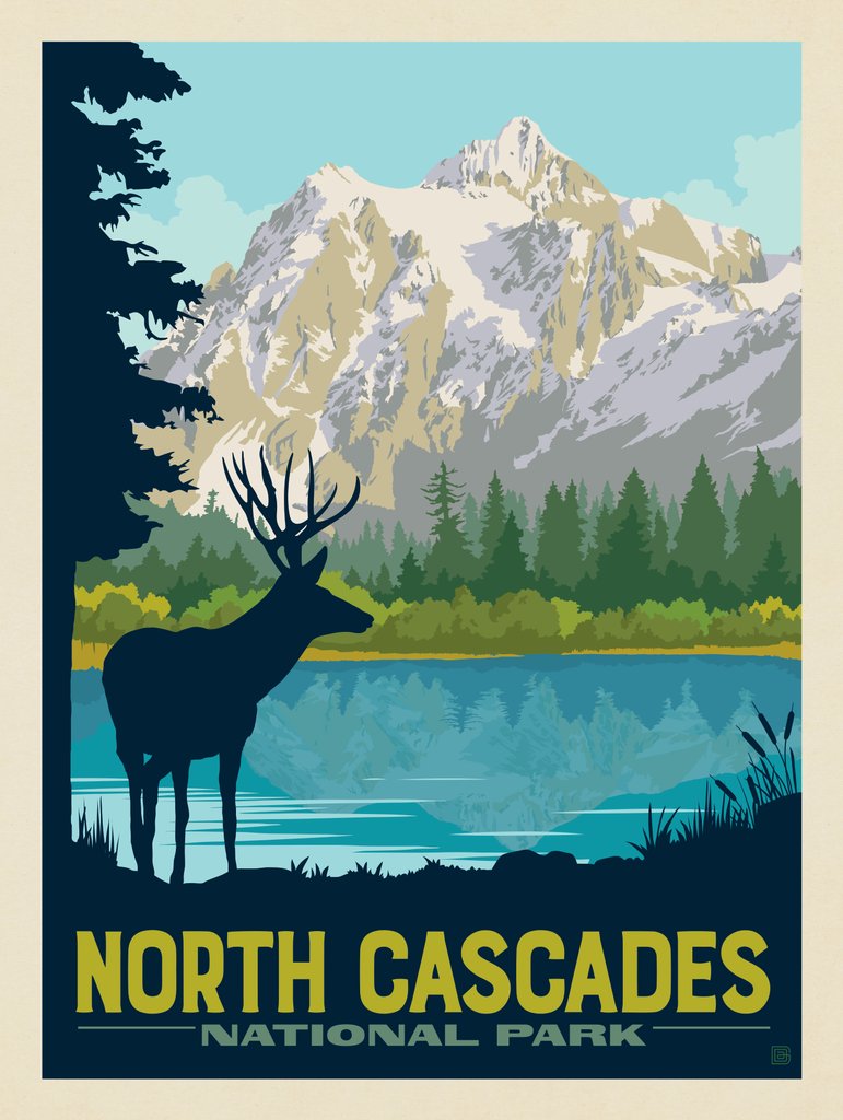 North Cascades National Park: Mule Deer - Postcards - Artwork