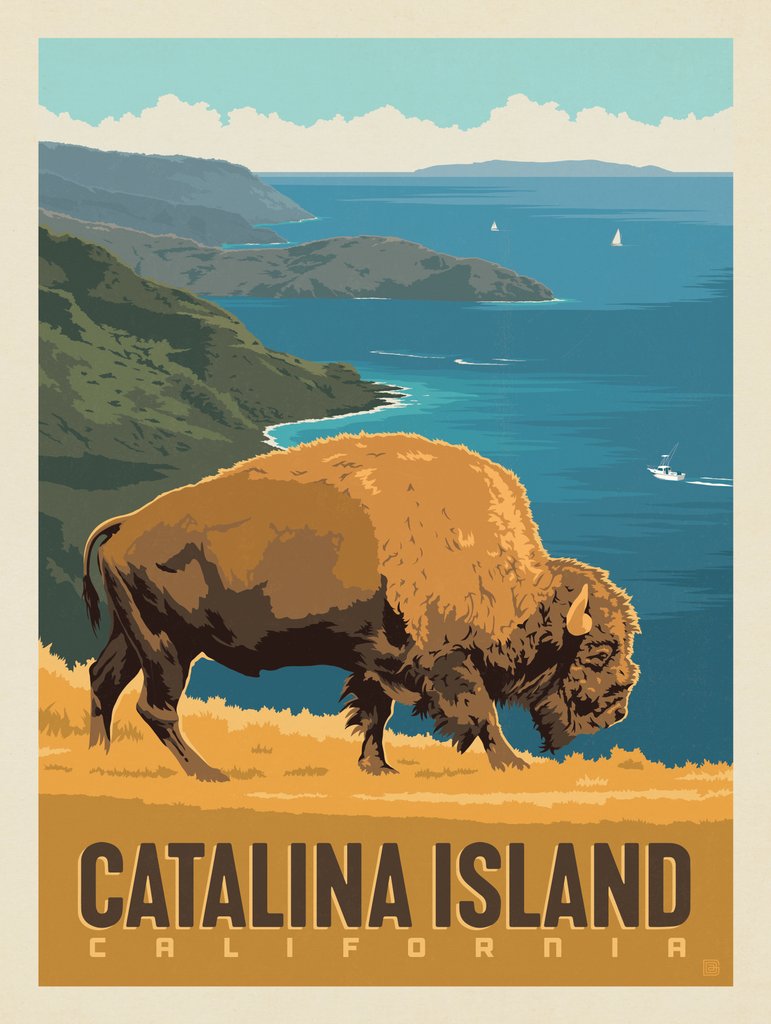 Catalina Island, CA: Bison Conservancy - Postcards - Artwork