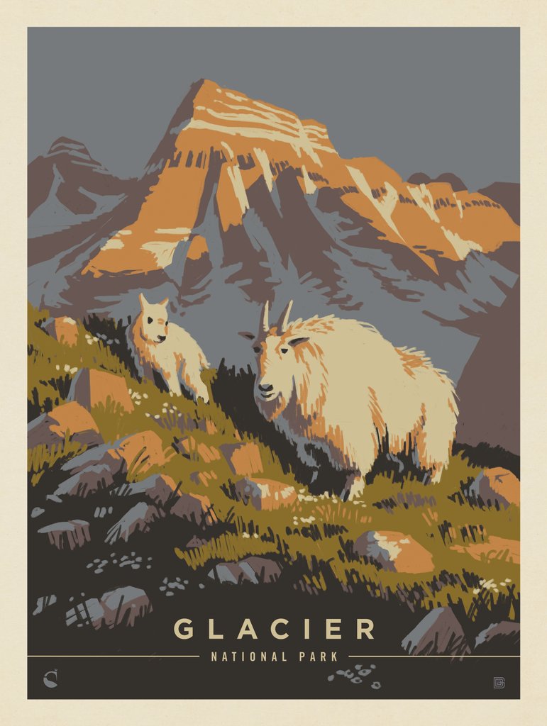 Glacier National Park: Mama Goat - Postcards - Artwork