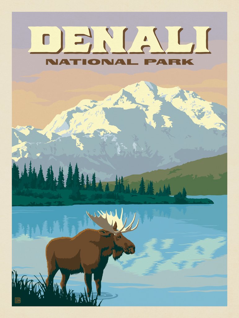 Denali National Park: Moose - Postcards - Artwork