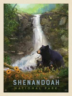 Shenandoah National Park: Bear Family