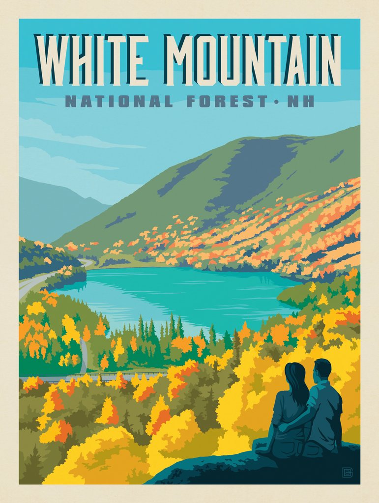 White Mountain National Forest, NH - Notecards - Artwork