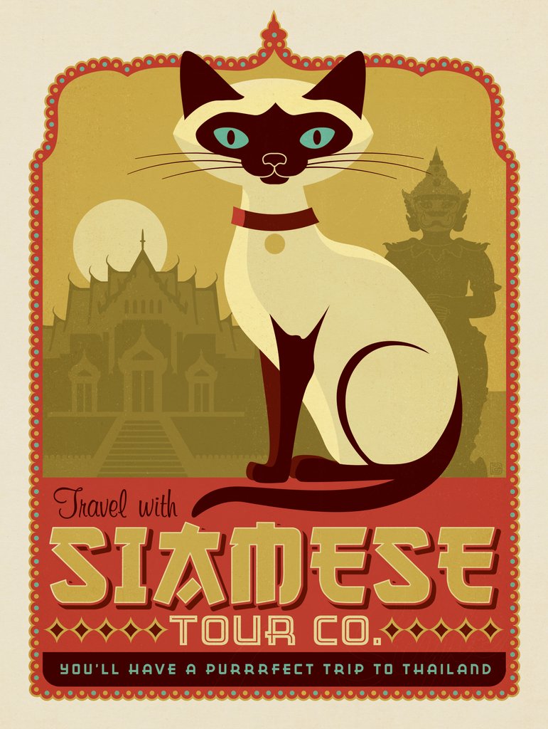 Siamese Tour Co. - Postcards - Artwork