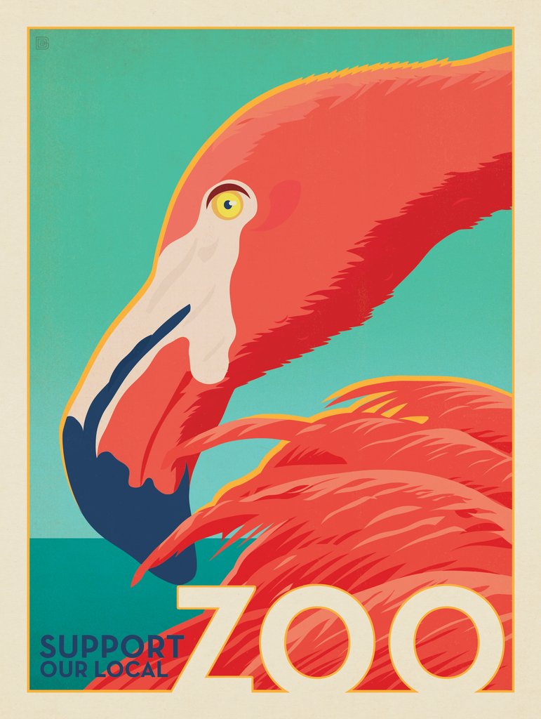 Zoo: Flamingo - Canvas - Artwork