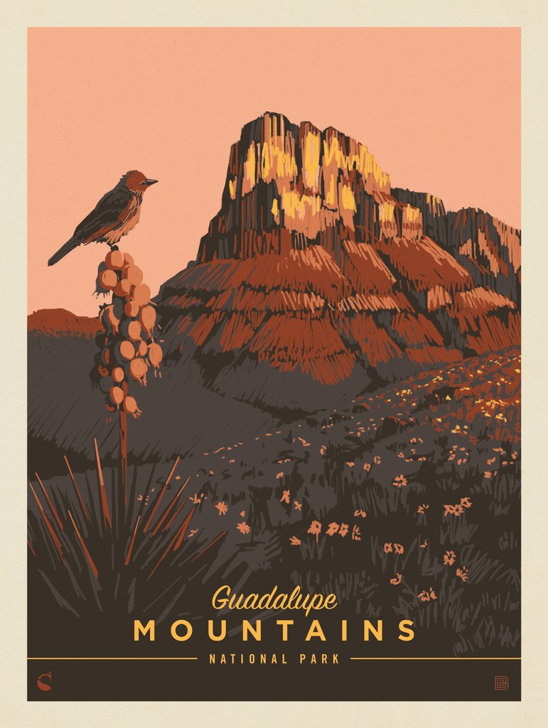 Guadalupe Mountains National Park: Early Bird - Notecards - Artwork