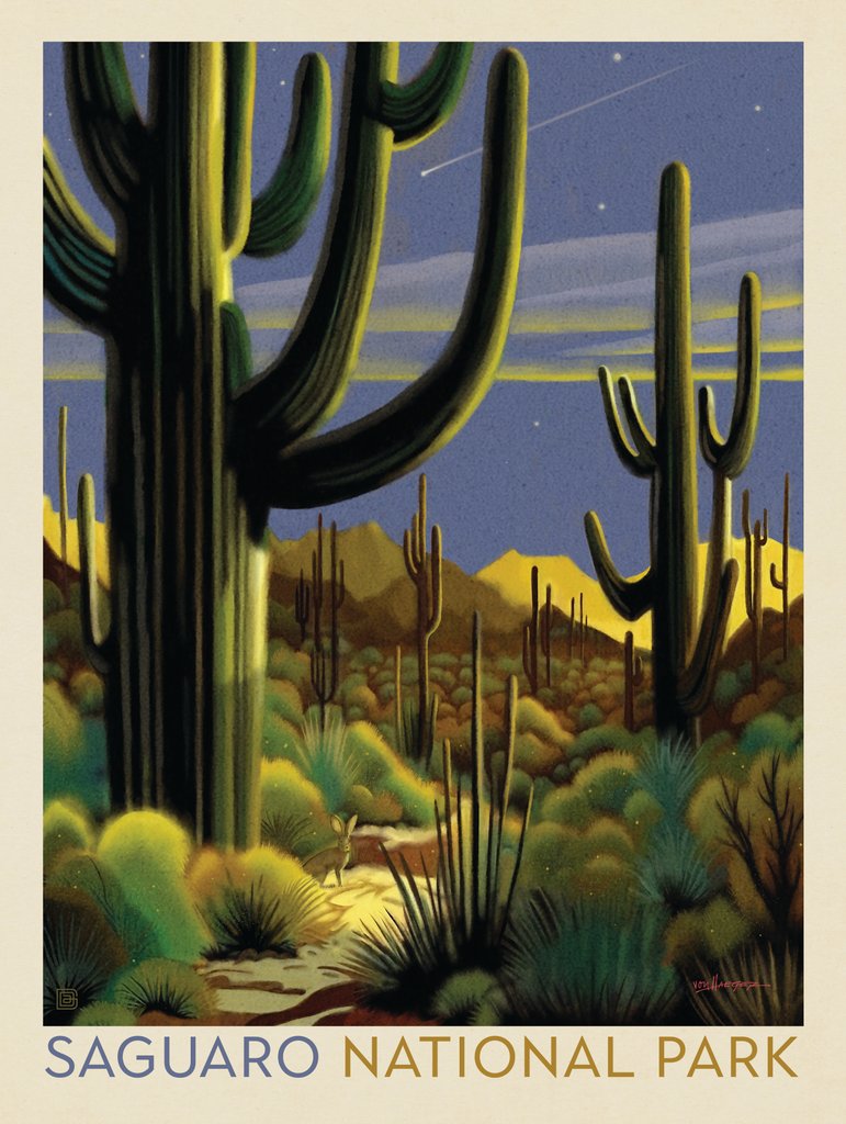 Saguaro National Park: Twilight - Metal Sign - Artwork