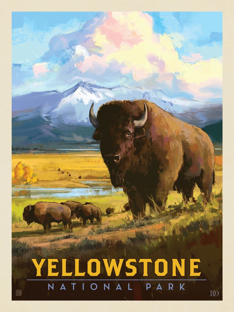 Yellowstone National Park: American Bison - Canvas - Artwork