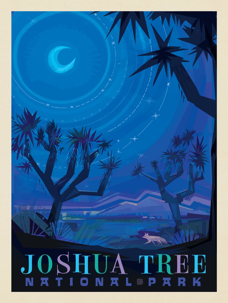 Joshua Tree National Park: Starlight (Mod Design) - Postcards - Artwork
