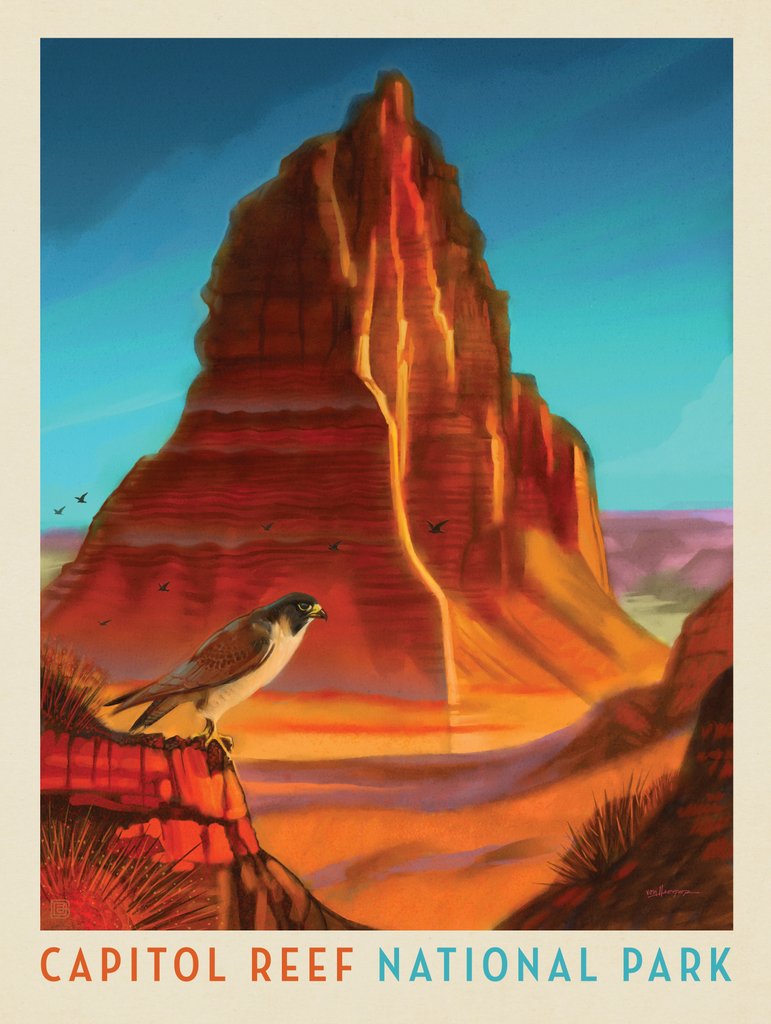 Capitol Reef National Park: Falcon Roost - Notecards - Artwork