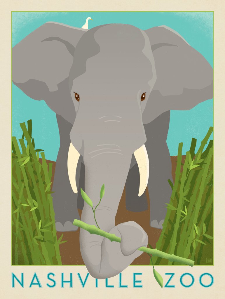 Nashville Zoo (Elephant) - Postcards - Artwork