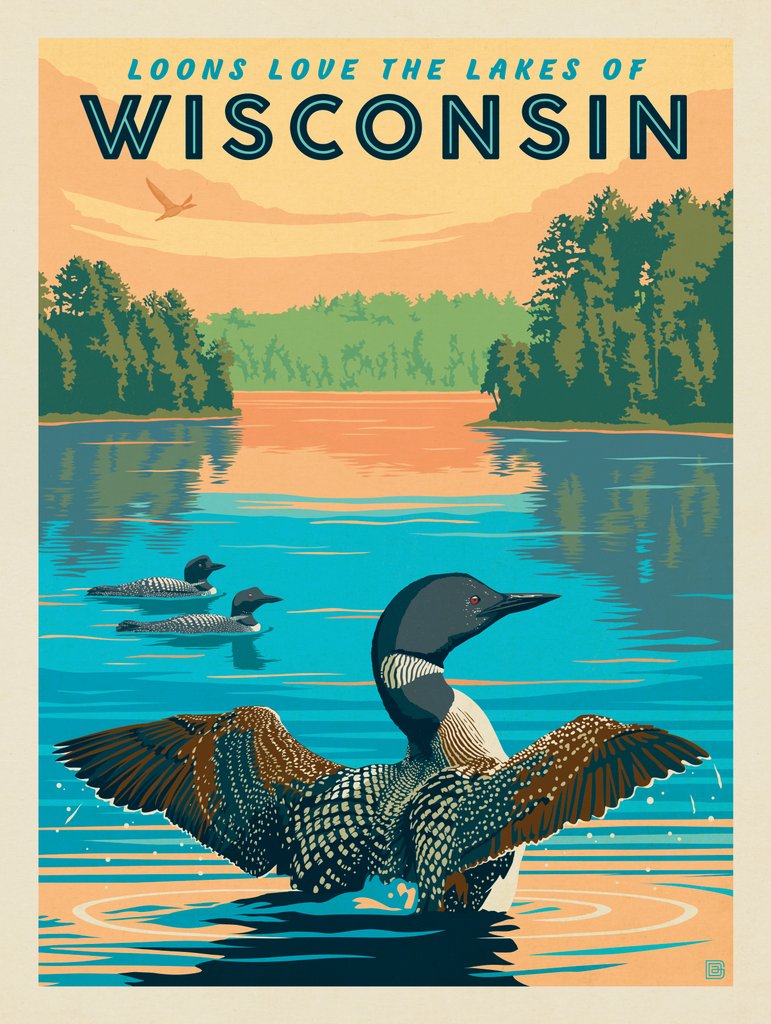 Wisconsin: Loons - Postcards - Artwork