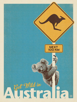 Australia: Get Wild, Koala