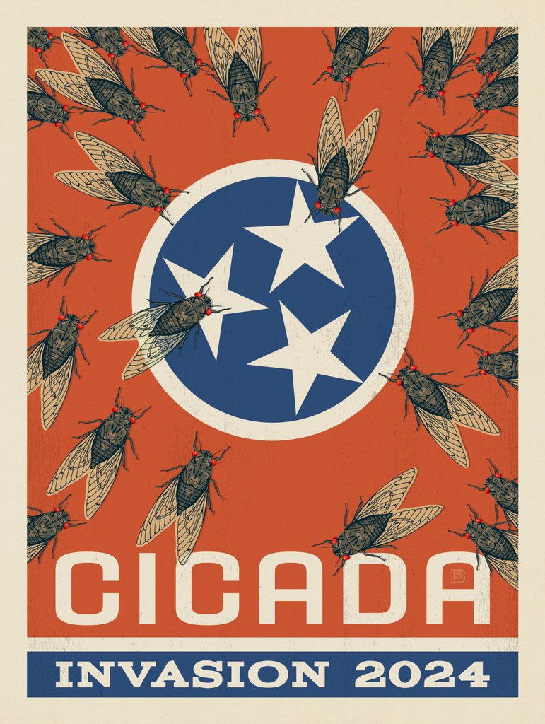 2024 Tennessee Cicada Invasion - Notecards - Artwork