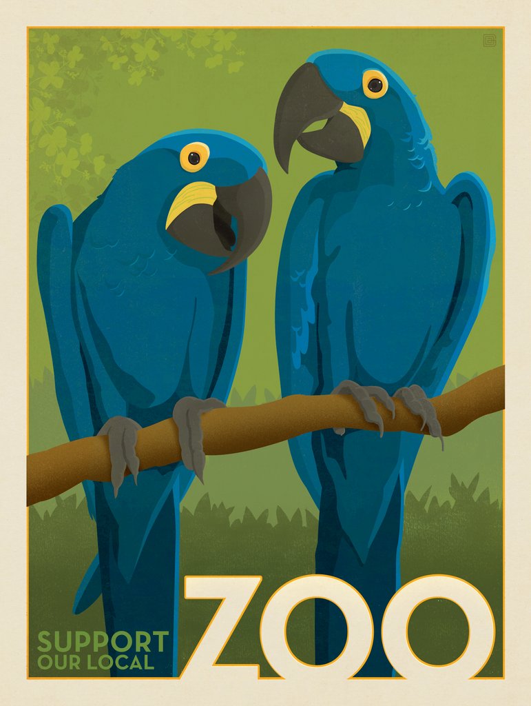 Zoo: Maccaws - Metal Sign - Artwork