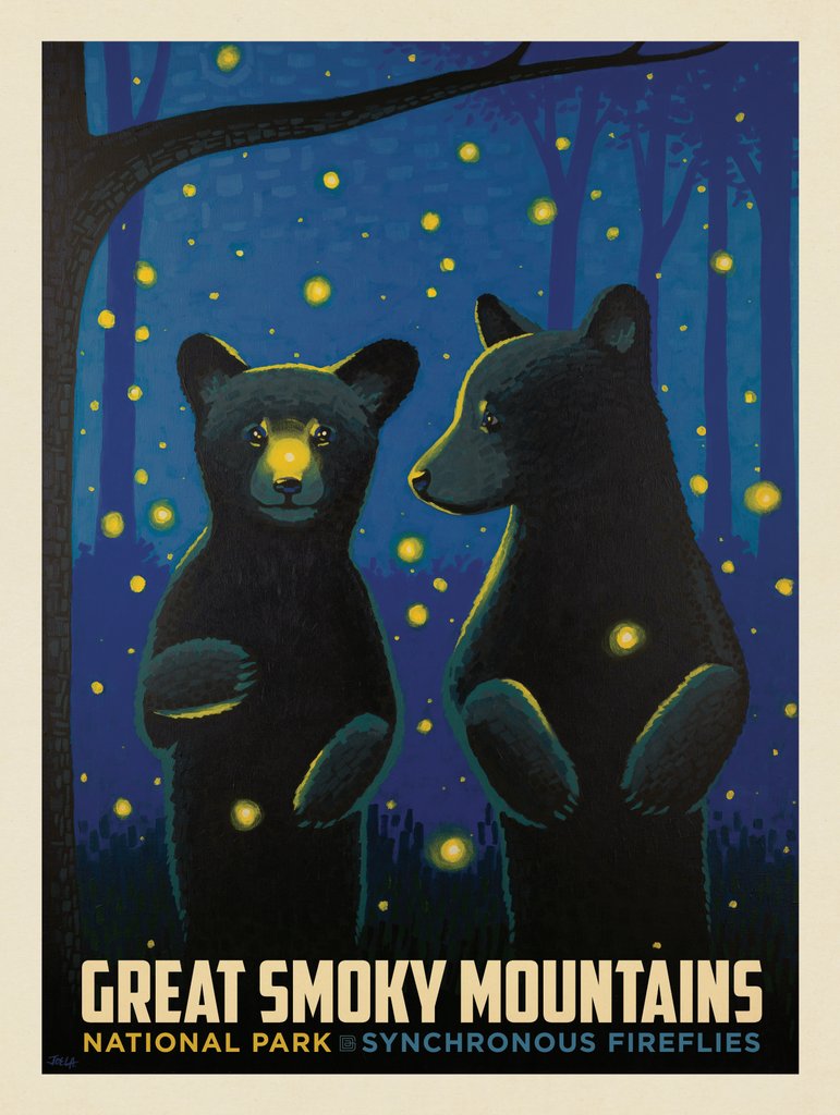 Great Smoky Mountains National Park: Firefly Cubs - Notecards - Artwork