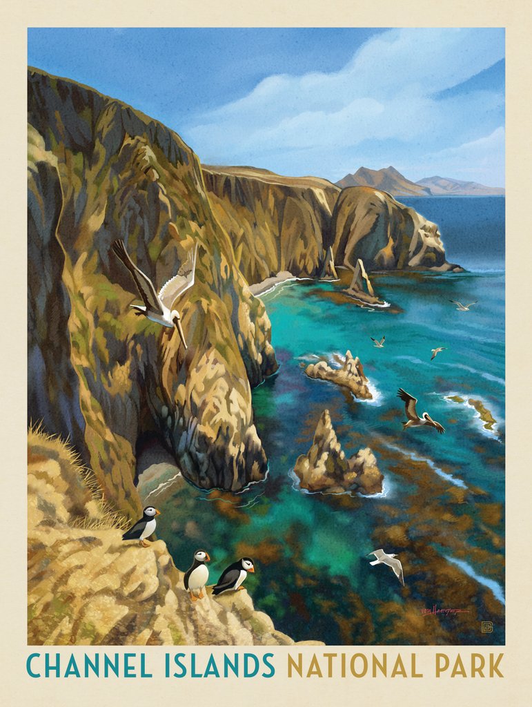 Channel Islands National Park: Birds Of A Feather - Metal Sign - Artwork