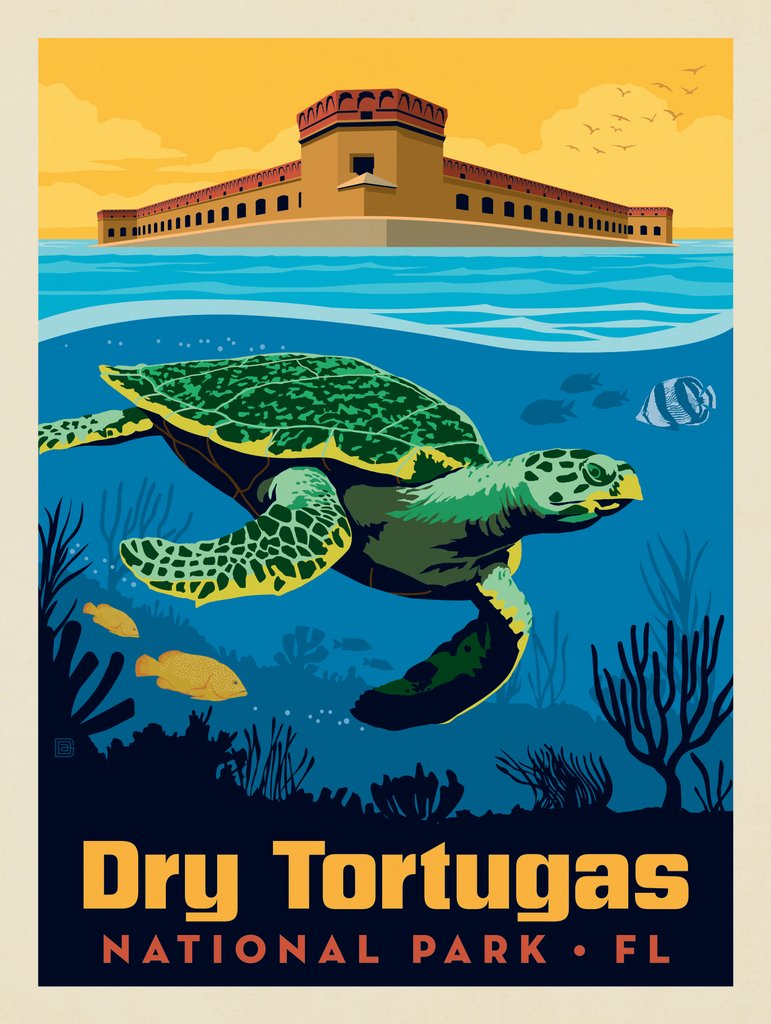 Dry Tortugas National Park: Sea Turtle - Canvas - Artwork