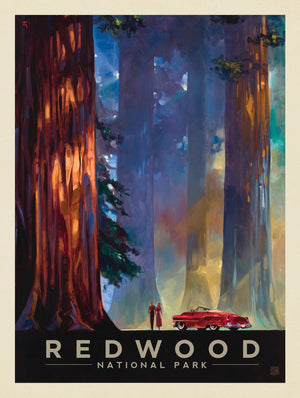 Redwood National Park: Among the Giants