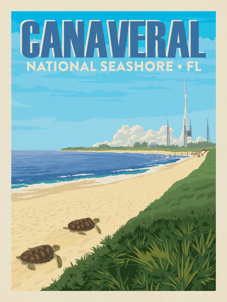 Canaveral National Seashore, Florida - Canvas - Artwork
