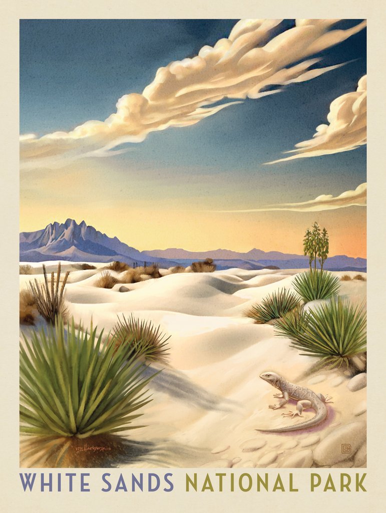 White Sands National Park: Sun Bathing Lizard - Art Print - Artwork