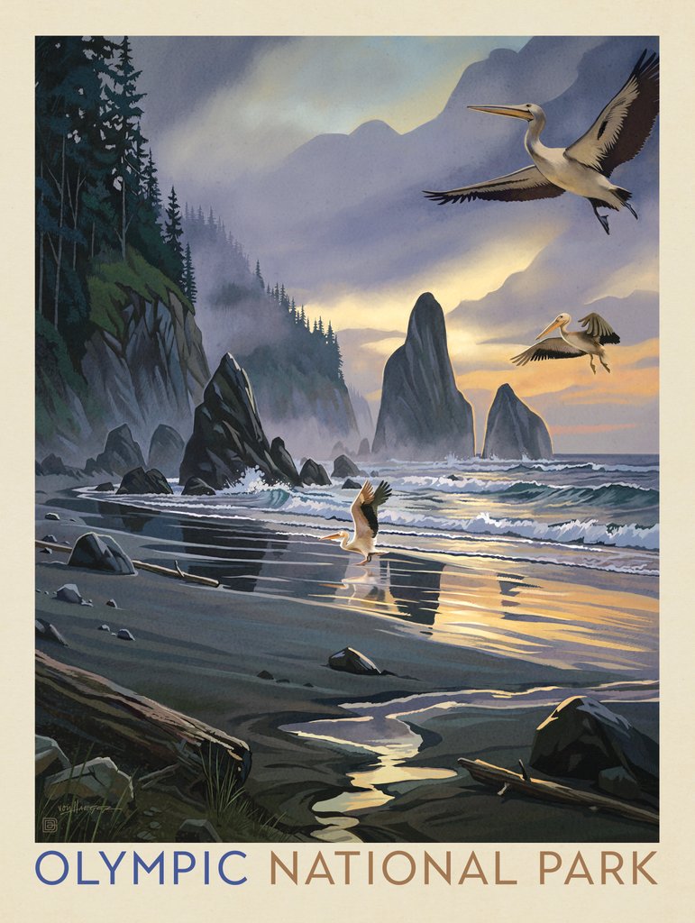 Olympic National Park: Pelican Paradise - Postcards - Artwork