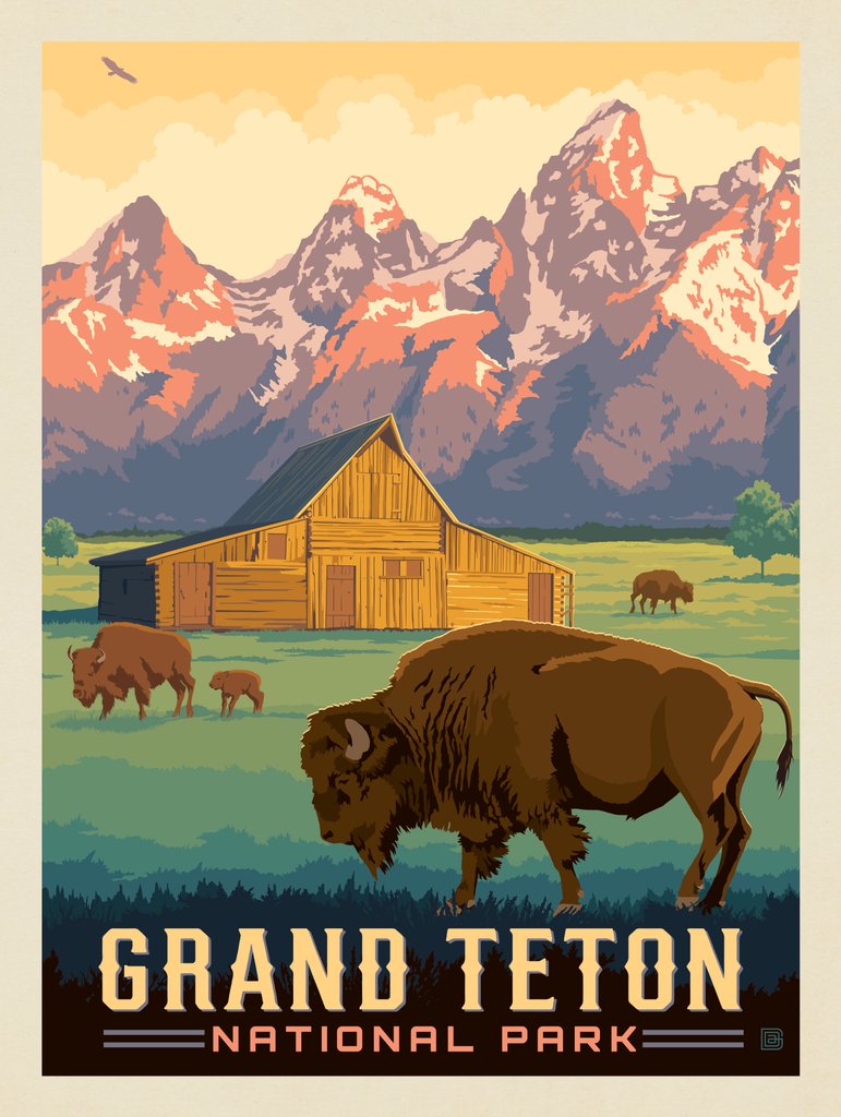 Grand Teton National Park: Bison & Barn - Notecards - Artwork