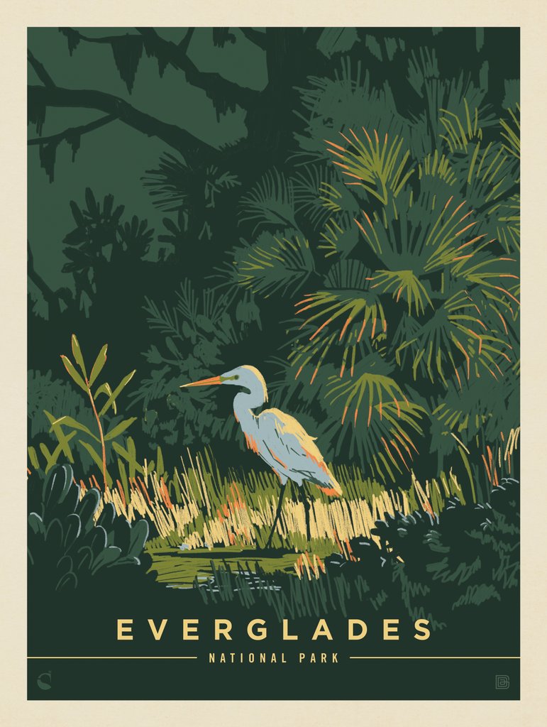 Everglades National Park: Paradise - Notecards - Artwork