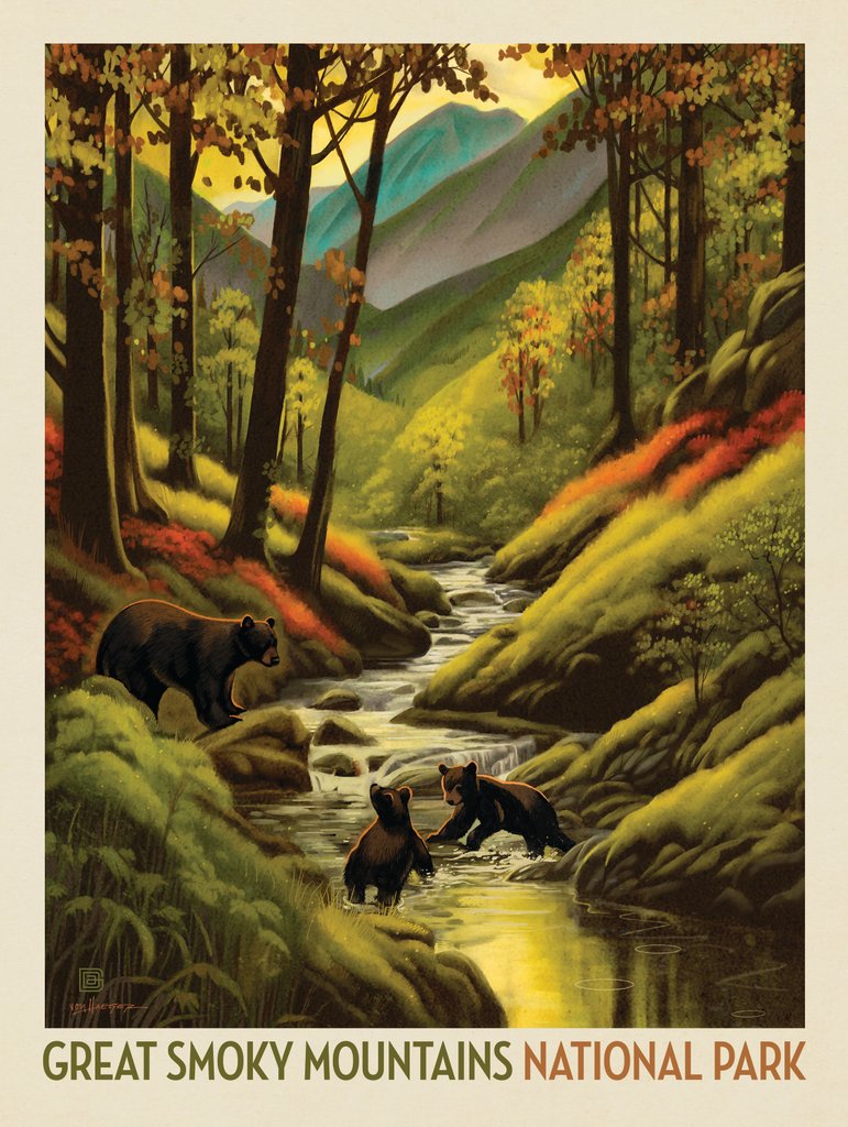 Great Smoky Mountains National Park: Splashing Cubs - Postcards - Artwork